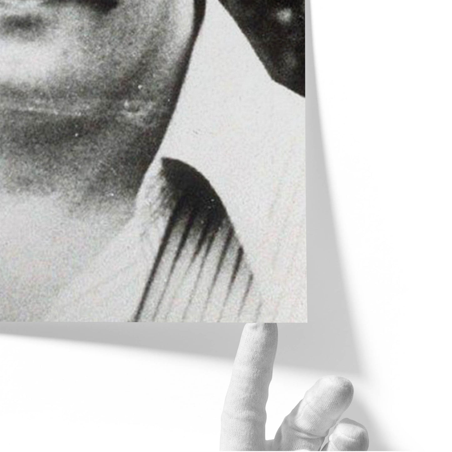 Young Escobar Portrait, 1970s