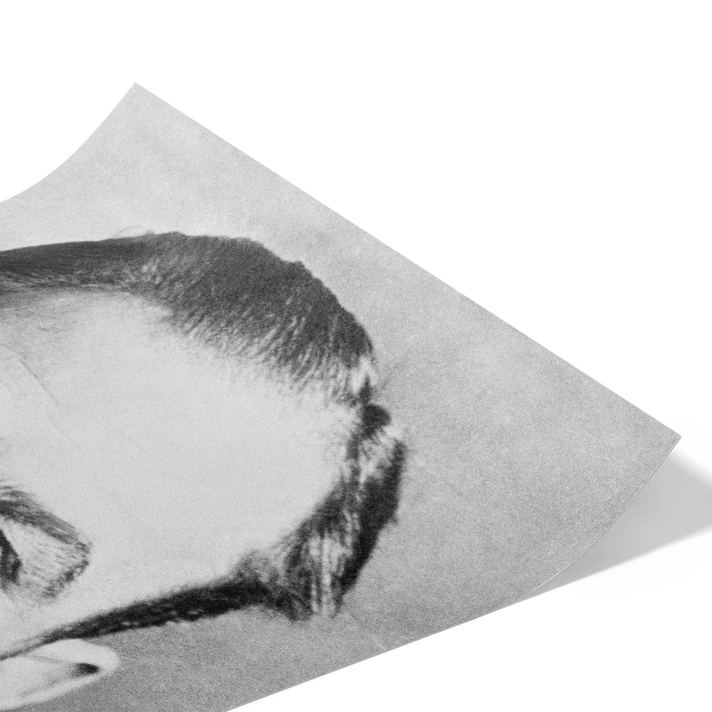 Vito Genovese Portrait, 1950