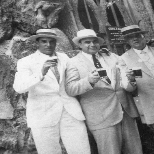 Al Capone and Company, 1929